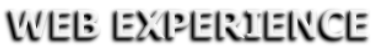 web experience